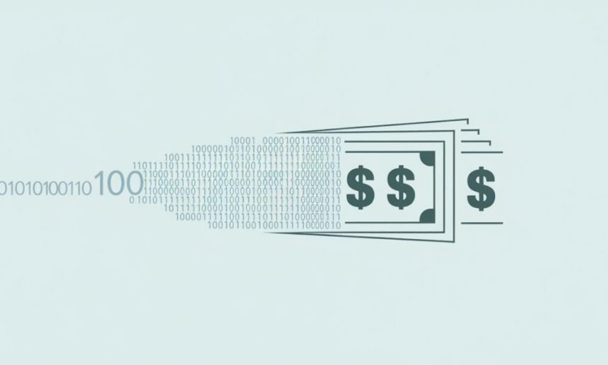 what-is-information-usage-fee-cash-conversion?-beginner's-guide