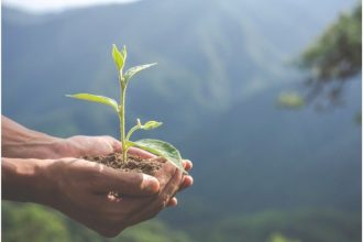 sustainable-supply-chain-practices-at-lead:-building-a-responsible-future