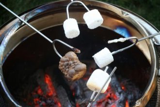 why-should-you-use-electric-bbqs-for-easy-outdoor-cooking