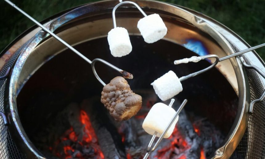 why-should-you-use-electric-bbqs-for-easy-outdoor-cooking